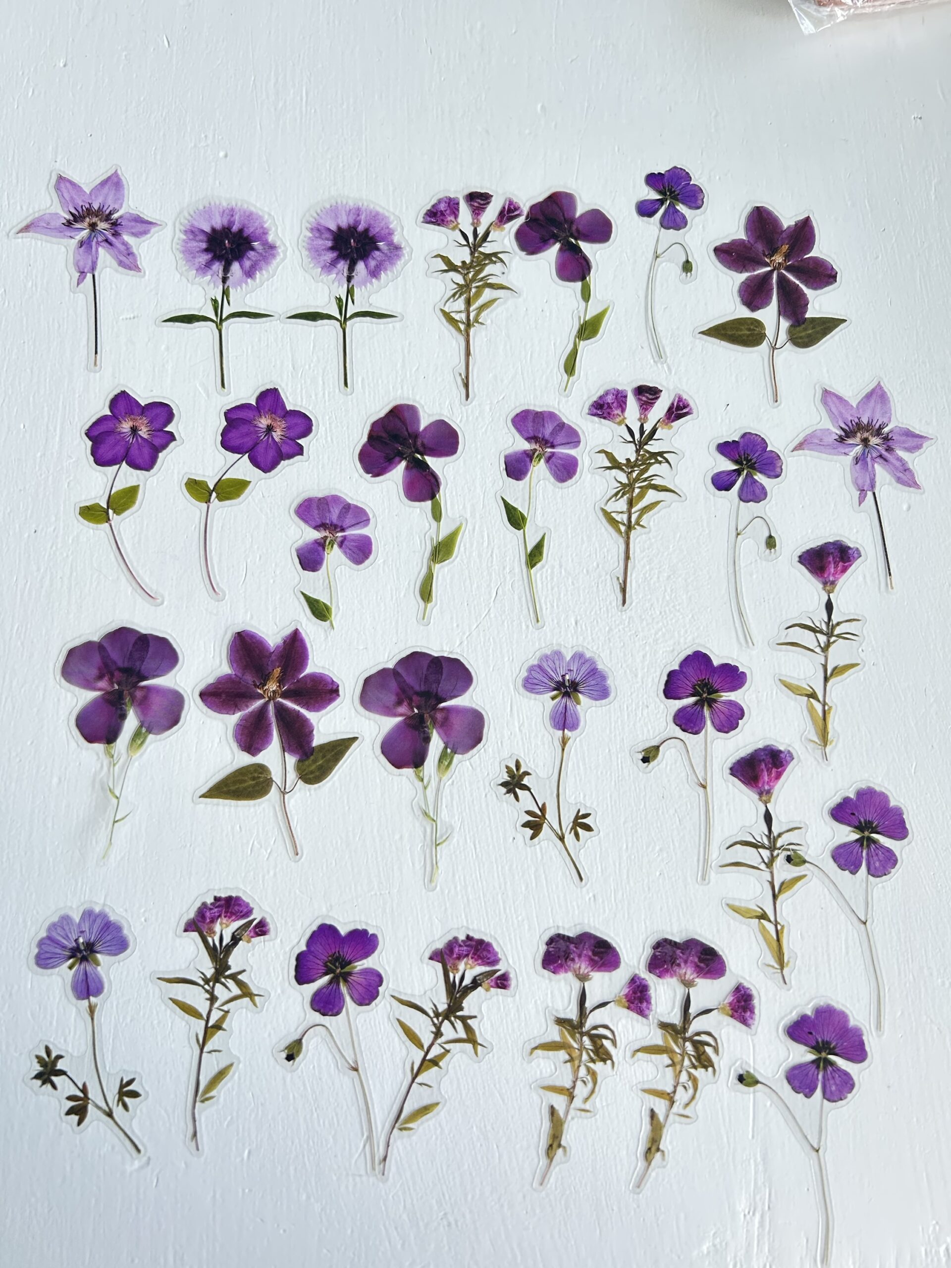 Retro Lillede ja Taimede Kleebiste Komplekt – Ideaalne Scrapbookingu, Päevikute ja Käeliste Projektide jaoks